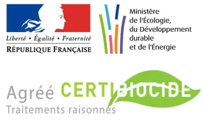 Dératisation des rats : technicien certifié Certibiocide TM Falco